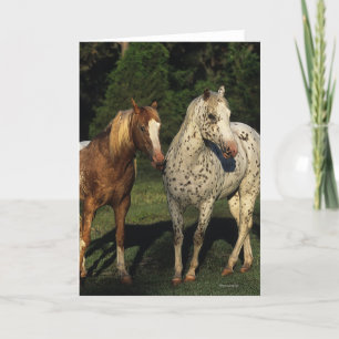 Carte Chevaux d'Appaloosa