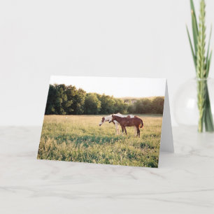 Carte Chevaux de peinture dans le pâturage