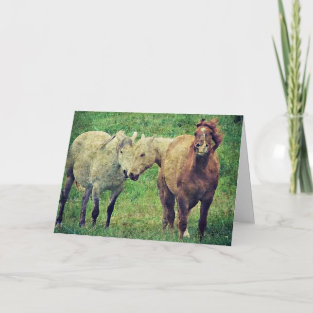 Carte Chevaux drôles, fête des pères (Devant)