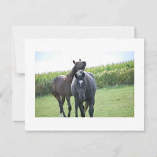 Carte Chevaux en amour