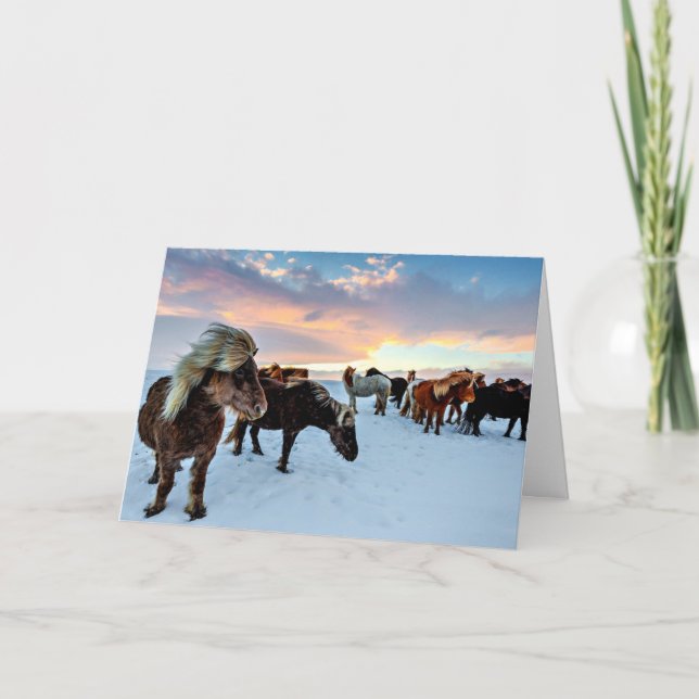 Carte Chevaux islandais (Devant)