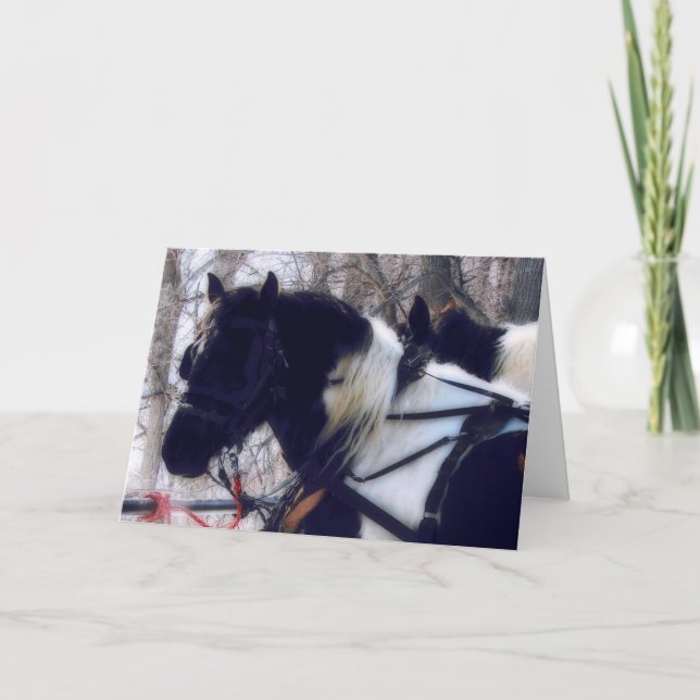 Carte Chevaux Pinto Brouillon, Fête des pères (Devant)