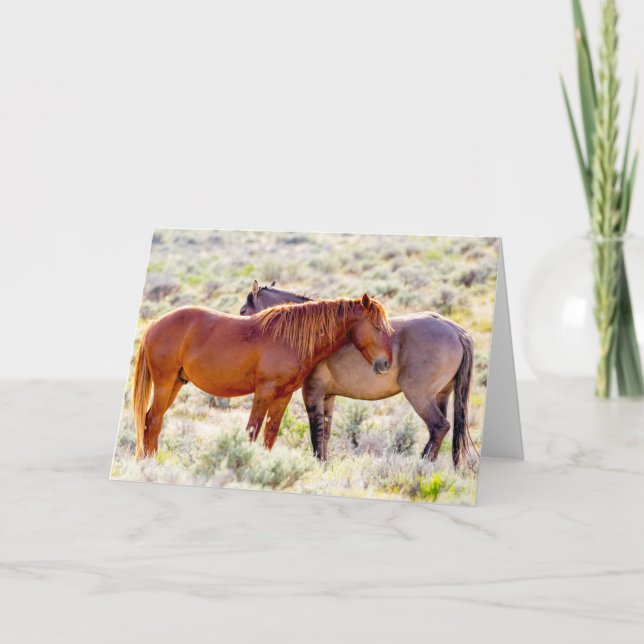 Carte Chevaux sauvages (Devant)