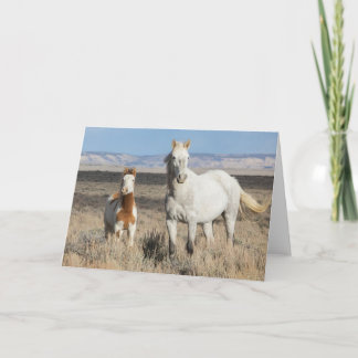 Carte Chevaux sauvages chez eux dans le bassin de Sandwa