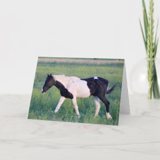 CARTE CHEVAUX SAUVAGES D'UTAH OURAY