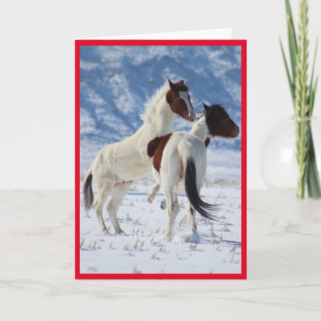 CARTE CHEVAUX SAUVAGES D'UTAH PINTO GREETING CARD (Devant)