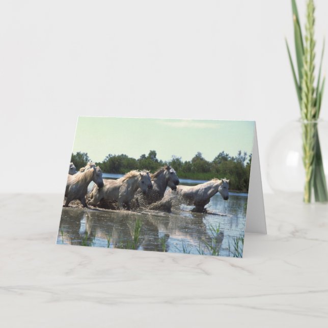 Carte Chevaux traversant l'eau (Devant)
