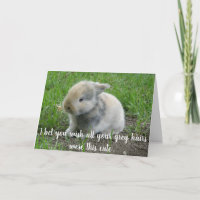 Cheveux gris Lièvre drôle Âge Lapin Anniversaire