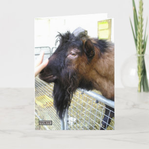 Carte Chèvre conviviale