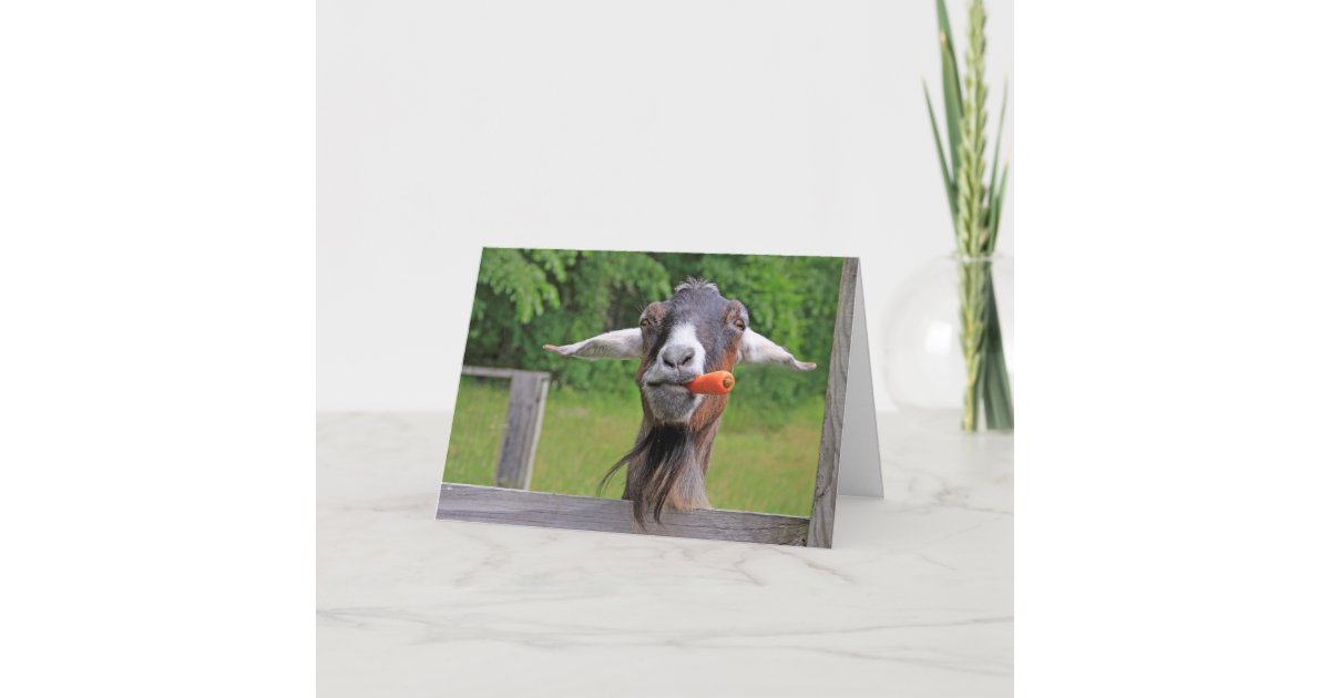 Carte Chevre Drole De Joyeux Anniversaire Zazzle Ca