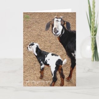 Carte chèvre, glorydaysphotography