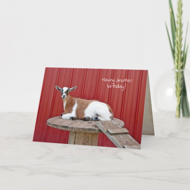 Carte chèvre mignonne sur la table de bobine anniversair (Devant)