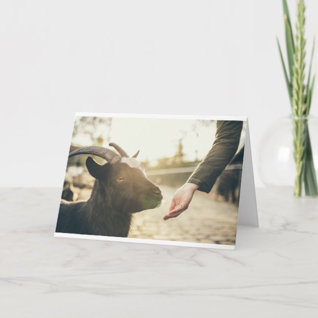 Carte Chèvres, chèvres et chèvres (21) (Devant)