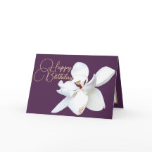 Chic Floral Blanc Magnolia Fleur pourpre Anniversa