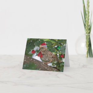 Carte Chick de la caille de Noël