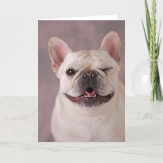Carte Chien à ailettes fou
