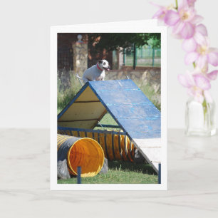 Carte Chien à l'école d'entraînement