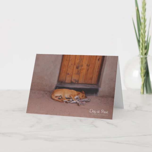 Carte Chien au repos (Devant)