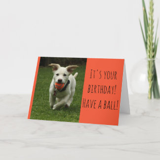 Carte Chien avec Balle