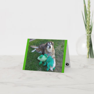 Carte Chien avec grenouilles