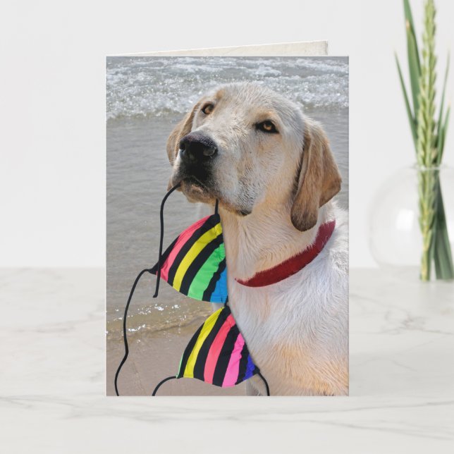 Carte chien avec top bikini pour anniversaire (Devant)