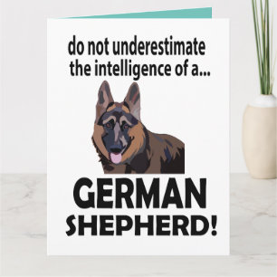 Carte Chien berger allemand Anniversaire Berger allemand