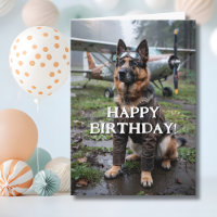 Chien berger allemand pilote avion drôle d'anniver