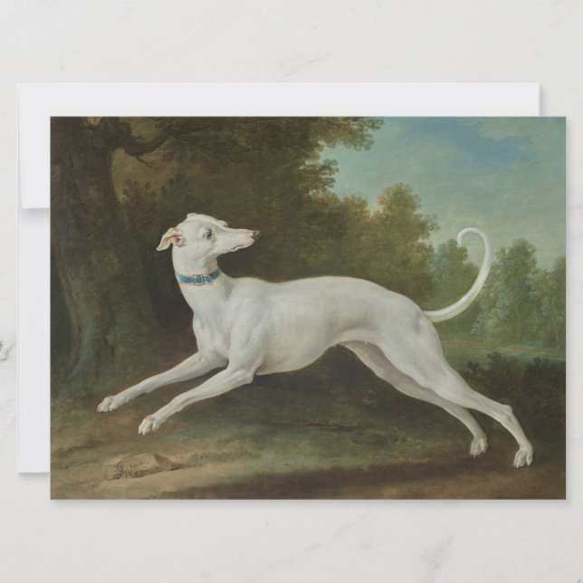 Carte Chien blanc gris (Devant)