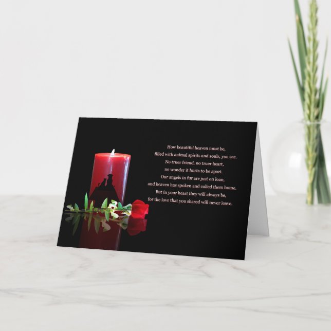 Carte Chien Chat animal de compagnie Sympathie spirituel (Devant)