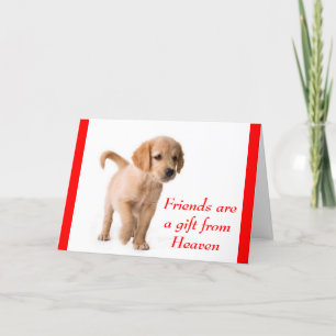 Carte Chien Chien Chien Chien Chien d'Amitié