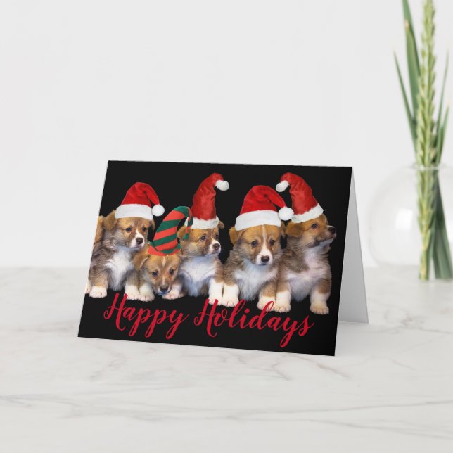 Carte Chien Chien Chien Chien de Noël Chapeaux Joyeux Fê (Devant)