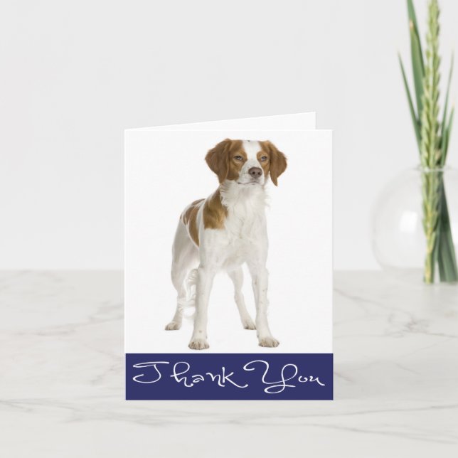 Carte Chien Chien Espagnol Merci Bretagne (Devant)