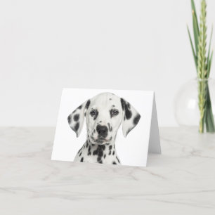 Carte Chien chiot dalmate Bonjour, Merci, Amour, Désolé
