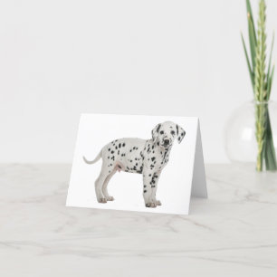 Carte Chien chiot dalmate Bonjour Merci Amour, Désolé