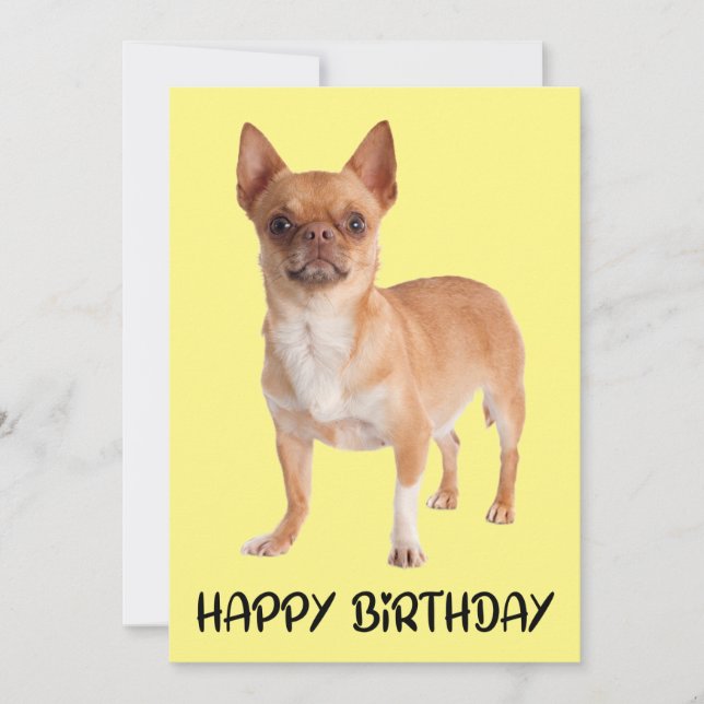 Carte Chien chiot mignon Jaune Funny Chihuahua Anniversa (Devant)