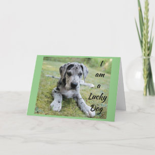 CARTE **CHIEN CHOSE CHALEUREUX CHANCE MOI** VOUS DANS MA
