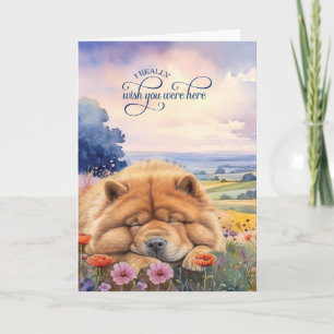 Carte Chien Chow Chow Fleurs Sauvages Vue Scénique Tu Me