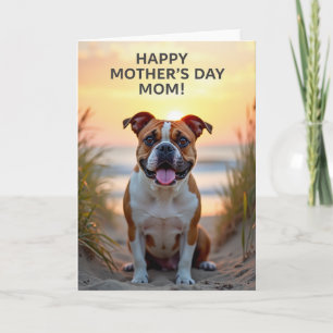 Carte Chien Coucher de Soleil Radieux