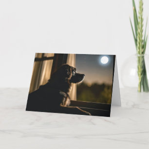 Carte Chien Dans La Fenêtre Lune Pour Perdre Les Animaux