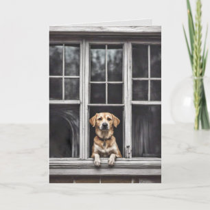 Carte Chien Dans La Fenêtre Pour Mlle Vous