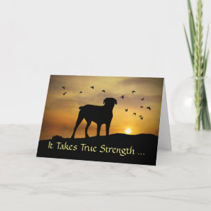 Carte Chien dans le coucher du soleil Sympathie Mettre c