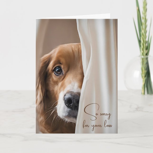 Carte Chien dans le rideau animal de compagnie perdre sa (Devant)
