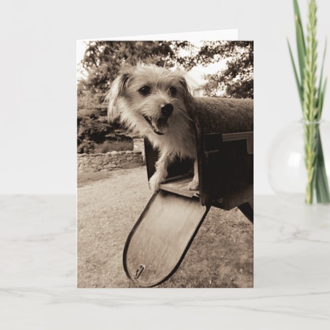 Carte Chien dans une boîte aux lettres (Devant)