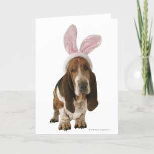 Carte Chien de basset avec des oreilles de lapin