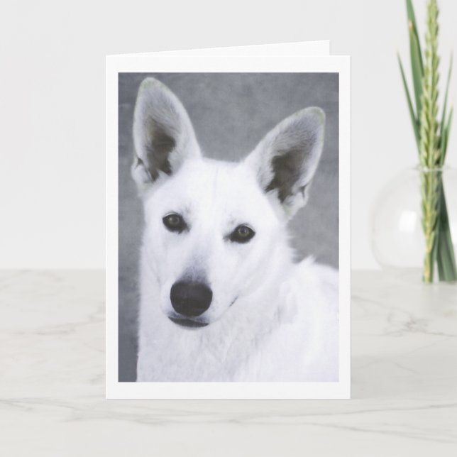 Carte Chien de berger allemand blanc (Devant)
