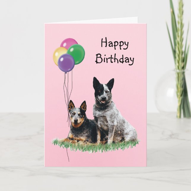 Carte Chien de bétail australien, Ballons d'anniversaire (Devant)