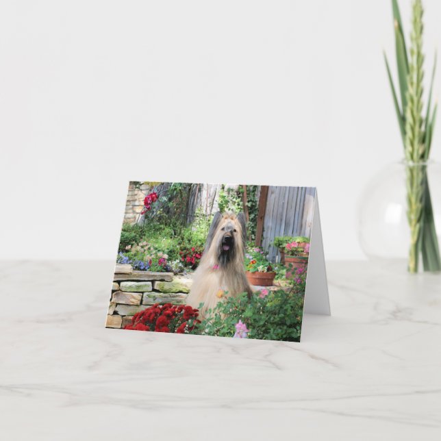 Carte Chien de Briard dans le jardin d'agrément (Devant)