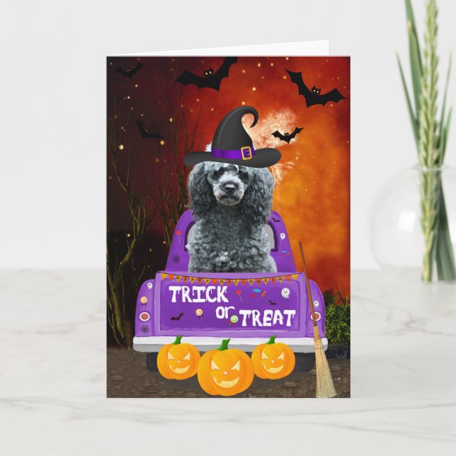 Carte Chien de caniche dans un camion Halloween (Devant)