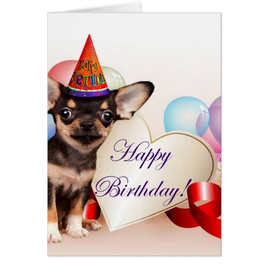 Carte Chien de chiwawa d anniversaire  Zazzle ca