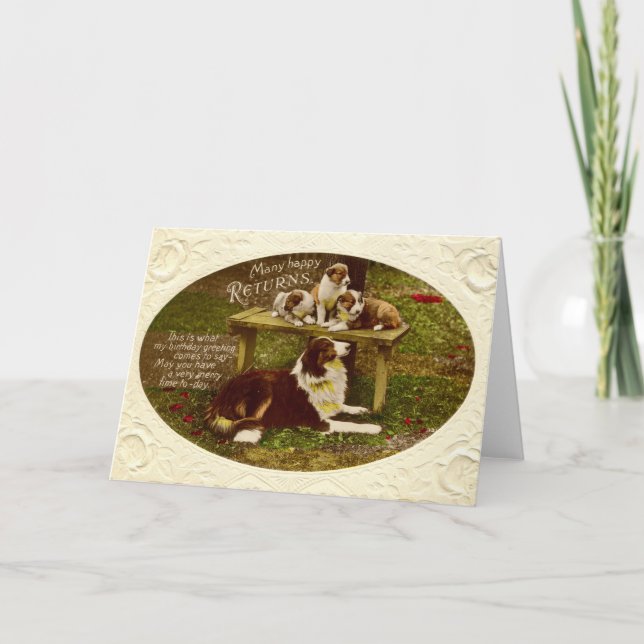 Carte Chien de colley et cru 1910 de joyeux anniversaire (Devant)